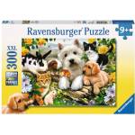 Ravensburger - Puzzle Happy animal friendship - 300 piese