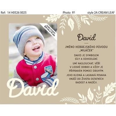 Albi Fotorámeček se jménem - David