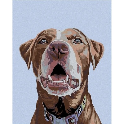 Zuty Malování podle čísel Hnědý labrador 80 x 100 cm vypnuté plátno na rám