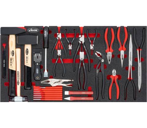 Vigor V5638N