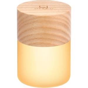 Gingko Светлинна декорация с USB в естествен цвят ø 4, 5 cm Lemelia - Gingko (G026AH)