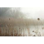 DIMEX ART Флизелинов фототапет мъглив бряг 375 x 250 см