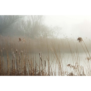 DIMEX ART Флизелинов фототапет мъглив бряг 375 x 250 см