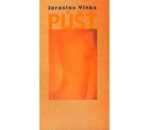 Púšť - Jaroslav Vlnka