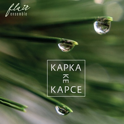 Flair Ensemble: Kapka ke kapce CD