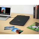 Epson Perfection V19