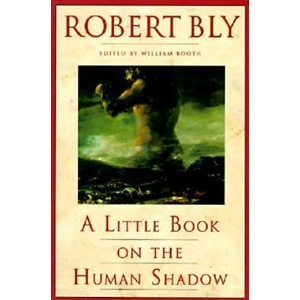 Little Book on the Human Shadow | Robert Bly (ISBN: 9780062548474)