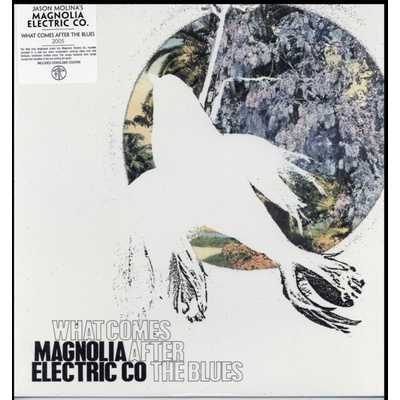 MAGNOLIA ELECTRIC COMPANY: WHAT COMES A LP