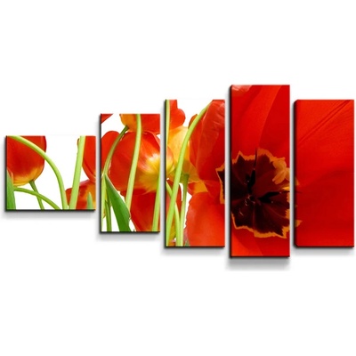 Sablio Obraz - 5-dílný Tulipány - 100x60 cm