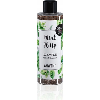 Anwen Mint It Up exfoliačný šampón 200 ml