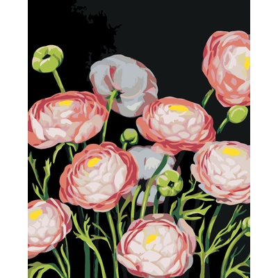 ZUTY Malování podle čísel PIVOŇKY MYROSLAVA VOLOSCHUK Rozměr 40 x 50 cm Rámování vypnuté plátno na rám
