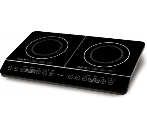 Professor IV306