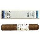 CAO Pilon Robusto