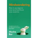Mindwandering - Moshe Bar