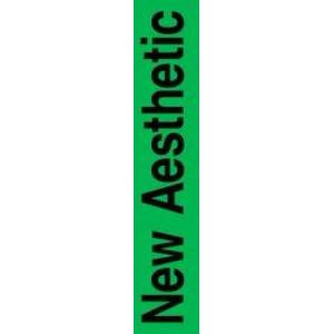 New Aesthetic 2 | Sophia Brinkgerd (ISBN: 9783982044033)