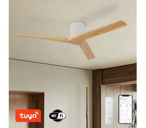 ZEVENTI ZEV031