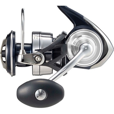 Daiwa 21 Certate SW 8000-H
