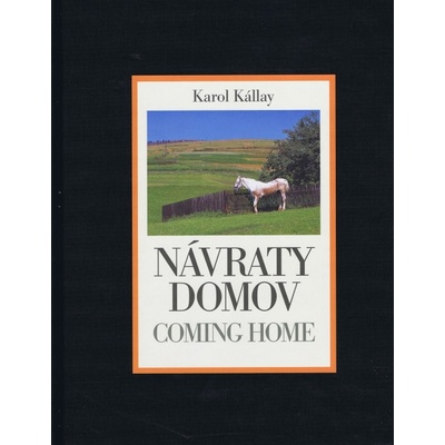 Návraty domov - Karol Kállay