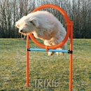 AGILITY kruh preskakovací
