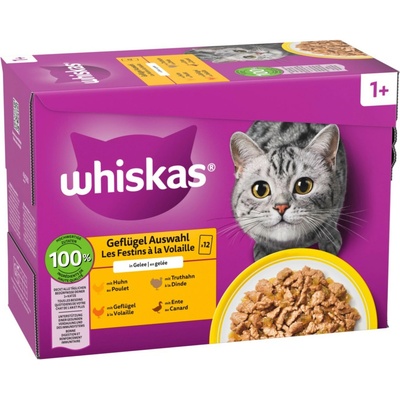 Whiskas 1+ Adult drůbeží výběr v želé 24 x 85 g