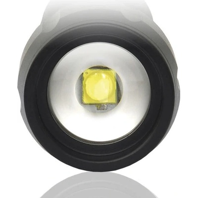 EverActive FL-300