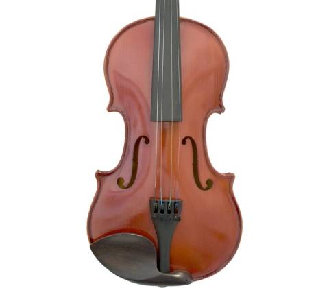 Petz violin G40VNV