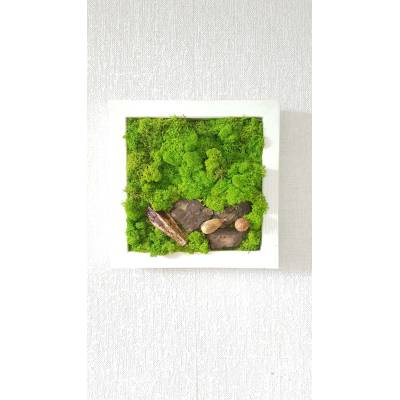 Mechový obraz v bílém rámu 33cm x 33cm