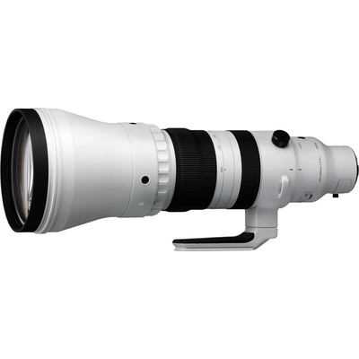 Sigma 300-600mm f/4 DG OS Sports Sony E