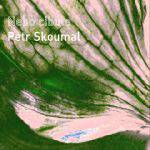 Supraphon Skoumal Petr: Nebo cibule - CD (008385)