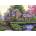 Ravensburger - Puzzle Romantic cottage - 1 000 piese