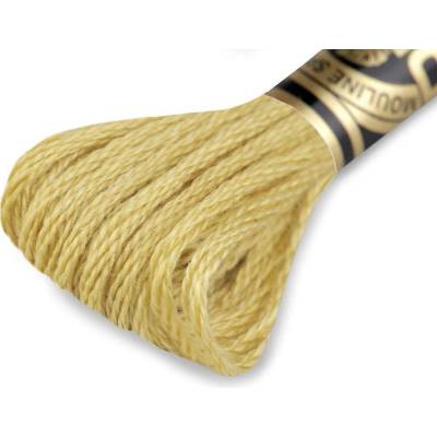 Vyšívací příze DMC Mouliné Spécial Cotton Varianta: 834 zelená khaki sv., Balení: 1 ks 27729/15784/175974