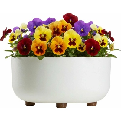 HowHomely PLASTOVÝ KVETINÁČ TERRA 30X14,5 CM BIELA