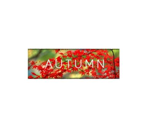 Autumn