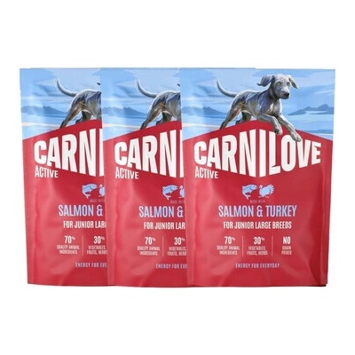 Carnilove Active Dog Made with Salmon & Turkey for Junior Large Breeds 3 x 1,5 kg