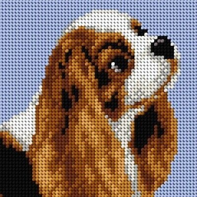 Předloha vyšívací King Charles Spaniel 15x15cm – Zboží Dáma