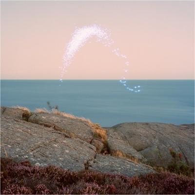 Cassandra Jenkins - An Overview On Phenomenal Nature (LP) (0600197016411)