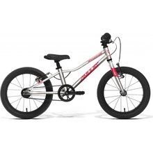 Amulet Youngster 2023