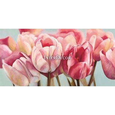 Obraz tulipány 1 deska 100x50