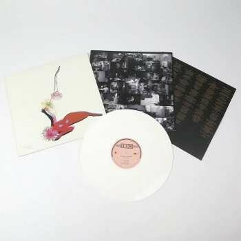 FUTURE ISLANDS: FAR FIELD LTD LP