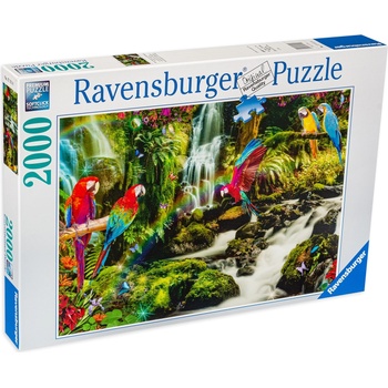 Ravensburger Пъзел Ravensburger от 2000 части - Папагали в джунглата (17111)