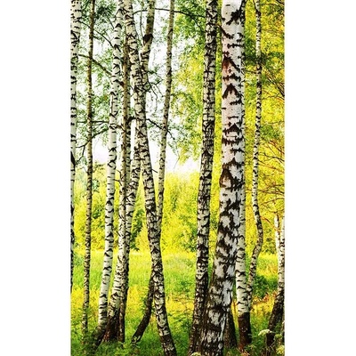 Dimex MS-2-0094 vliesová fototapeta rozměry 150 x 250 cm