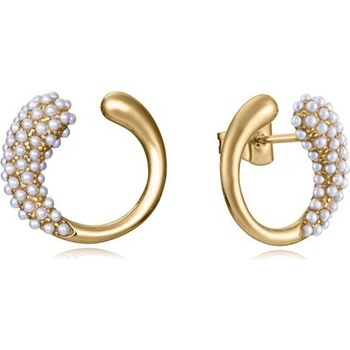 Viceroy náušnice 15150E01012