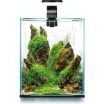 AQUAEL shrimp set smart d&n 20 ЧЕРЕН