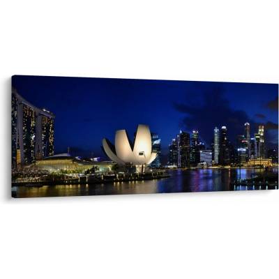 Obraz nočního Singapouru, jednodílný 120x50 cm