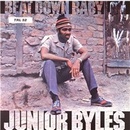 Junior Byles - Beat Down Babylon