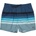 Billabong Мъжки бански слипове Billabong All Day Stripe Boardshorts - Navy (050-2311-0214)