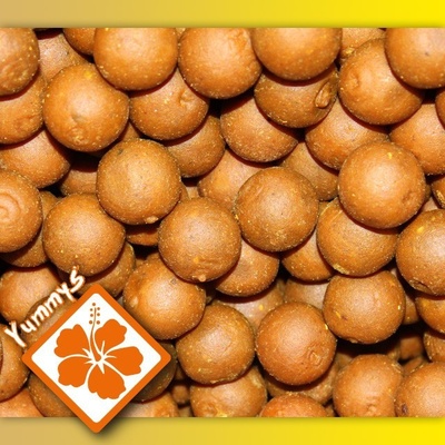 Imperial Baits boilies Carptrack Osmotic Spice 300g 24mm