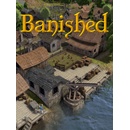 Shining Rock Software Banished (PC)