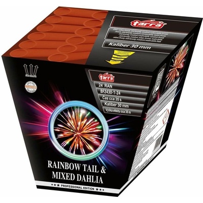 Rainbow Tail Mixed Dahlia 24 ran