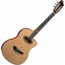 Eko guitars NXT N100e